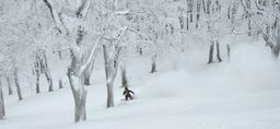 2023-01-21-Aomori-038.jpg