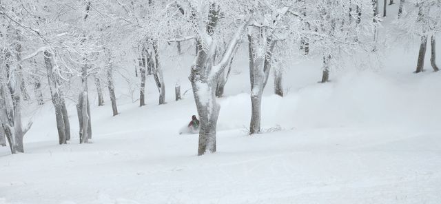 2023-01-21-Aomori-039.jpg