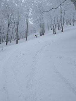 2023-01-21-Aomori-040.jpg