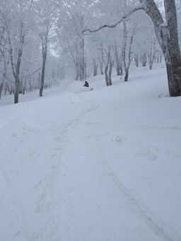 2023-01-21-Aomori-041.jpg