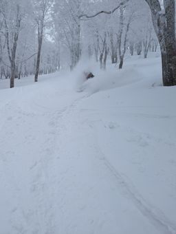 2023-01-21-Aomori-042.jpg