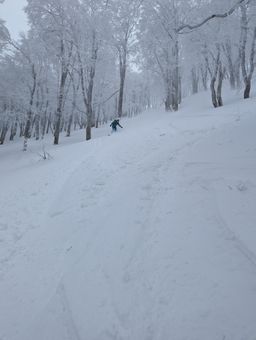 2023-01-21-Aomori-044.jpg