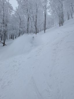 2023-01-21-Aomori-046.jpg