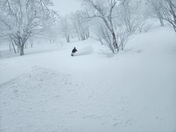 2023-01-21-Aomori-048.jpg
