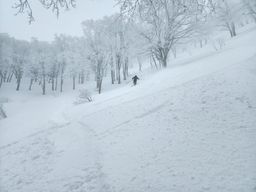 2023-01-21-Aomori-050.jpg
