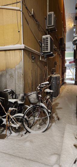 2023-01-21-Aomori-058.jpg