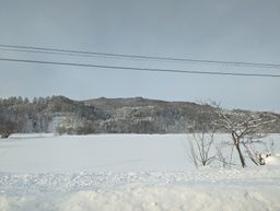 2023-01-23-Furano-007.jpg