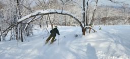 2023-01-23-Furano-023.jpg