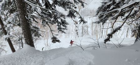 2023-01-24-Furano-010.jpg
