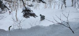 2023-01-24-Furano-011.jpg