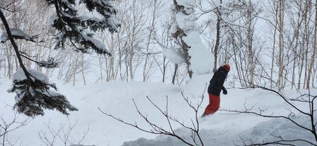 2023-01-24-Furano-012.jpg