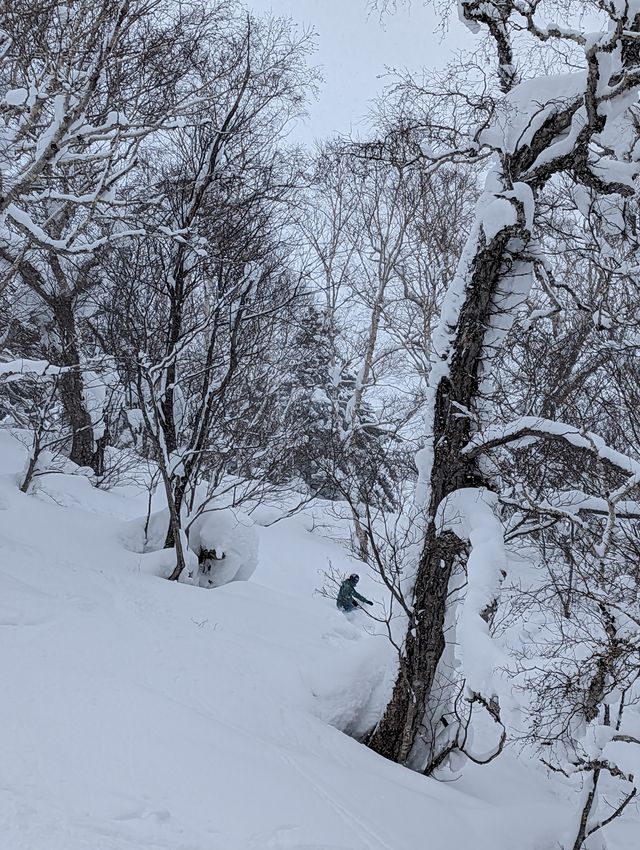 2023-01-24-Furano-014.jpg