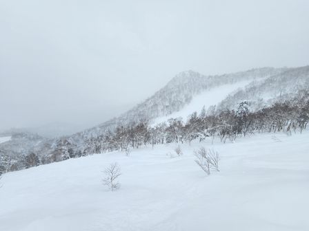 2023-01-24-Furano-017.jpg