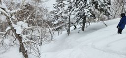 2023-01-24-Furano-021.jpg