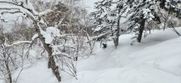 2023-01-24-Furano-022.jpg