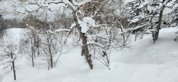 2023-01-24-Furano-023.jpg