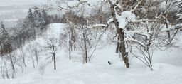 2023-01-24-Furano-024.jpg