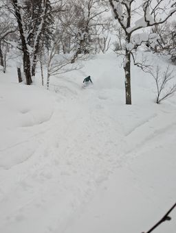 2023-01-24-Furano-025.jpg