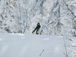 2023-01-26-Furano-009.jpg