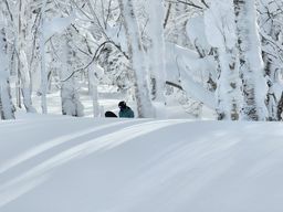 2023-01-26-Furano-010.jpg