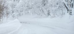 2023-01-27-Furano-003.jpg