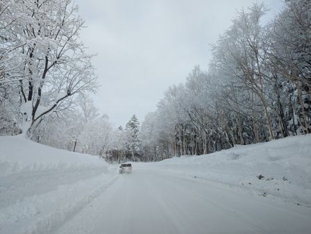 2023-01-27-Furano-004.jpg