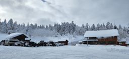 2023-01-27-Furano-006.jpg