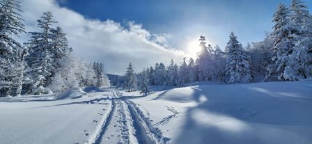 2023-01-27-Furano-018.jpg