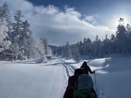2023-01-27-Furano-019.jpg