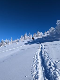 2023-01-27-Furano-023.jpg