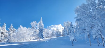 2023-01-27-Furano-024.jpg