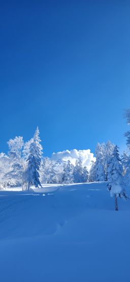 2023-01-27-Furano-025.jpg