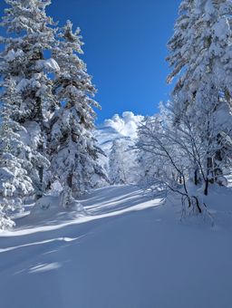 2023-01-27-Furano-027.jpg
