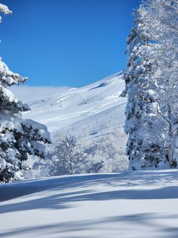 2023-01-27-Furano-028.jpg