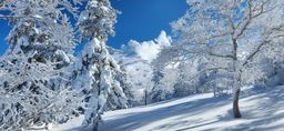 2023-01-27-Furano-030.jpg