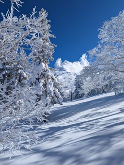 2023-01-27-Furano-031.jpg