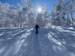2023-01-27-Furano-033.jpg