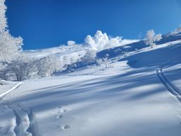 2023-01-27-Furano-034.jpg