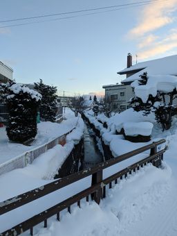 2023-01-27-Furano-056.jpg