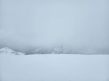 2023-01-28-Furano-004.jpg
