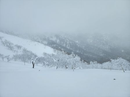 2023-01-28-Furano-005.jpg