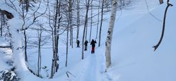 2023-01-28-Furano-012.jpg