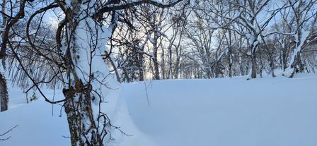 2023-01-28-Furano-013.jpg