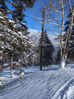 2023-01-28-Furano-014.jpg