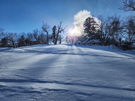 2023-01-28-Furano-015.jpg