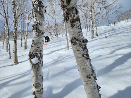 2023-01-28-Furano-024.jpg