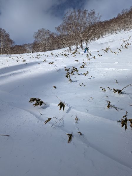 2023-01-28-Furano-026.jpg