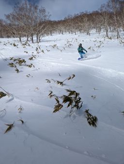 2023-01-28-Furano-027.jpg