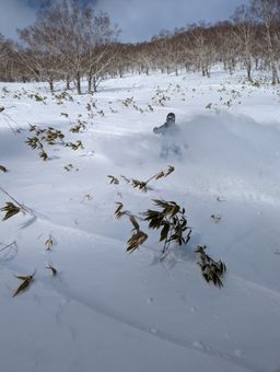 2023-01-28-Furano-028.jpg