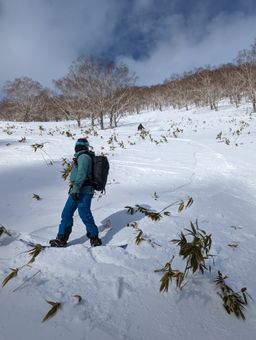 2023-01-28-Furano-030.jpg